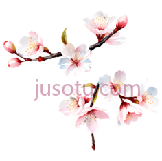 樱花,花瓣, PNG