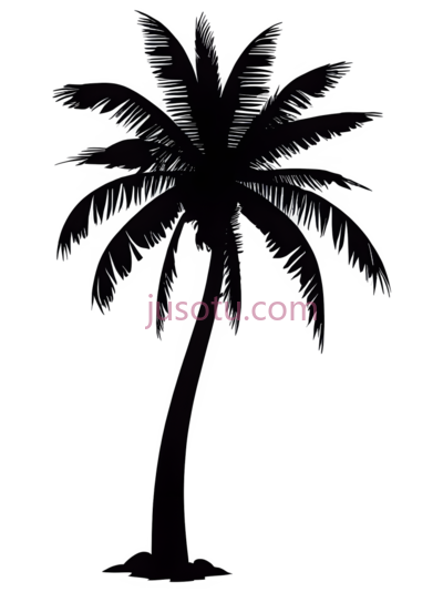 海滩,棕榈树,剪影, PNG