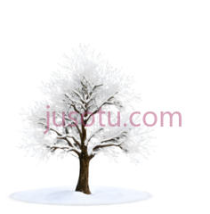 树,雪花, PNG