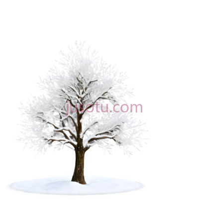 树,雪花, PNG