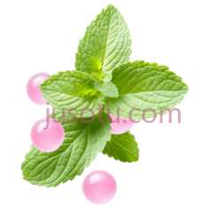 薄荷,自然,绿色PNG