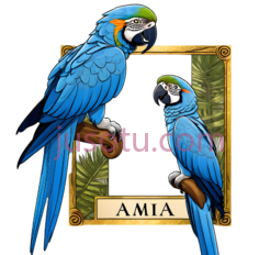 鹦鹉,卡通,蓝色PNG