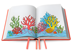 珊瑚,卡通,黄色PNG