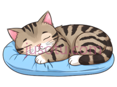 猫,卡通,棕色,黑色相间的条纹PNG