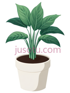 盆栽植物,插画,绿色PNG