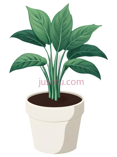 盆栽植物,插画,绿色, PNG