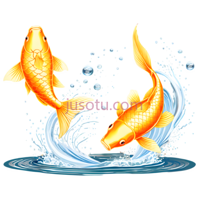 鲤鱼,卡通,橙色, PNG