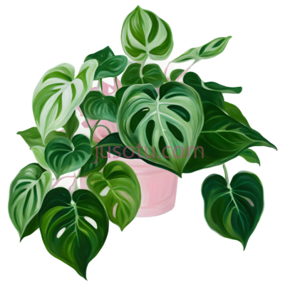 绿萝,植物园,浅粉绿色,绿萝, PNG