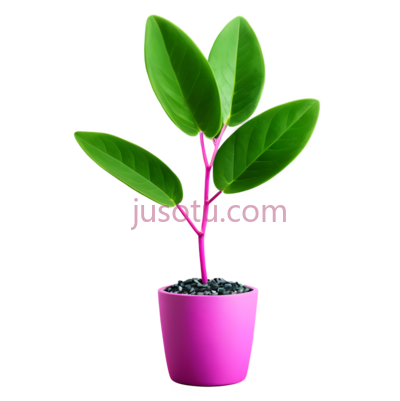 盆栽植物,绿色叶子, 粉色花盆, PNG