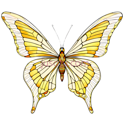 蝴蝶,彩色玻璃,黄色,白色, PNG