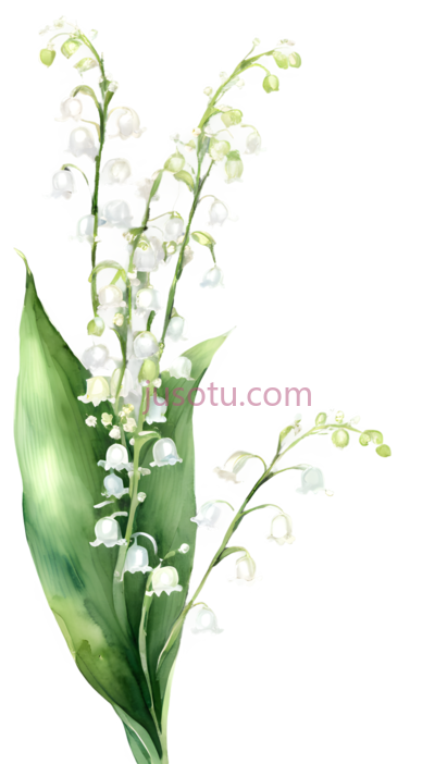 铃兰,水彩画,白色,绿色, PNG