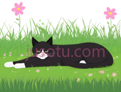 猫,绿草,粉色花, PNG