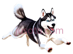 哈士奇,卡通,黑白PNG