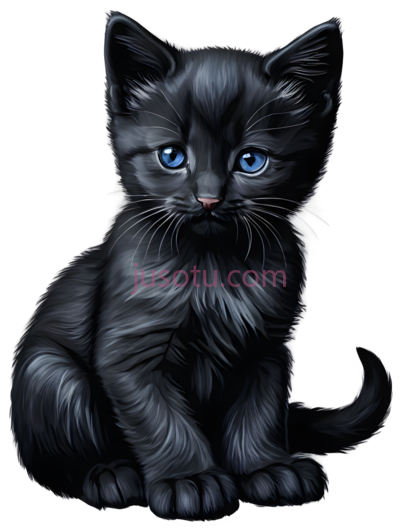 悲伤,小猫, PNG