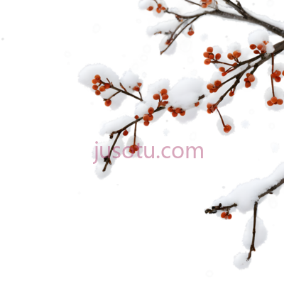 树枝,雪景,白色, PNG