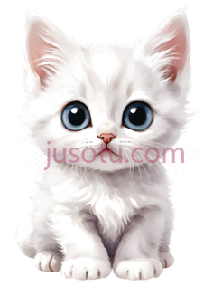猫,大眼睛PNG