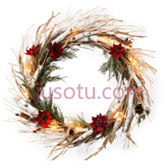 花环,自然风干,白色,红色PNG