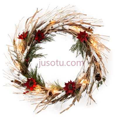 花环,自然风干,白色,红色, PNG