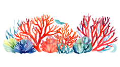 珊瑚,水彩画,红色,蓝色,黄色PNG