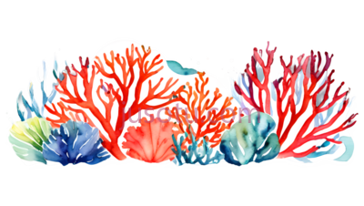 珊瑚,水彩画,红色,蓝色,黄色, PNG