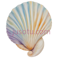 海螺,彩色纸, PNG