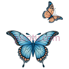 蝴蝶,插画,蓝色,橙色PNG