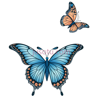 蝴蝶,插画,蓝色,橙色, PNG