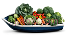 蔬菜,白菜,胡萝卜,西兰花,辣椒PNG