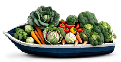 蔬菜,白菜,胡萝卜,西兰花,辣椒, PNG