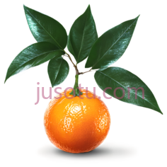 橘子,卡通,橙色PNG