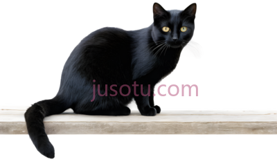 黑猫,卡通,黑色, PNG