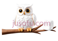 猫头鹰,卡通,白色PNG