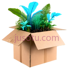 植物,自然,绿色,蓝色, PNG
