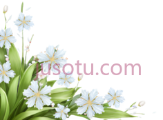春天,花朵PNG