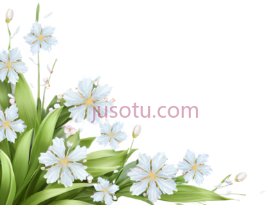 春天,花朵, PNG