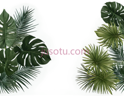 热带植物, PNG