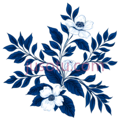 花朵,叶子,插画,蓝色,白色PNG