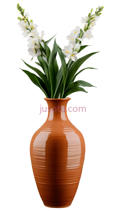 花瓶,陶瓷, PNG