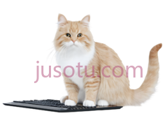 猫,卡通,橘色,白色PNG