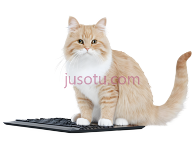 猫,卡通,橘色,白色, PNG