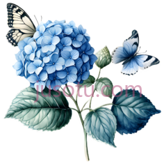 绣球花,水彩画,蓝色, PNG