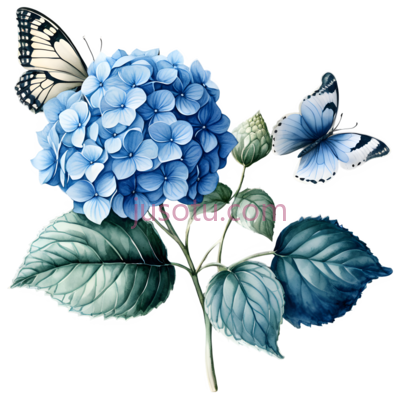 绣球花,水彩画,蓝色, PNG
