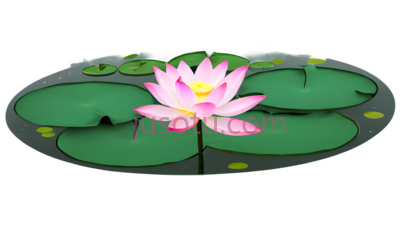荷塘,风景, PNG