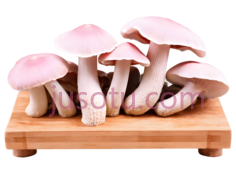 蘑菇,卡通,粉色PNG