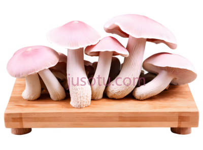 蘑菇,卡通,粉色, PNG