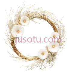 花环,自然风干花卉,米色,白色PNG