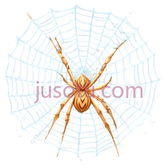 蜘蛛,网, PNG