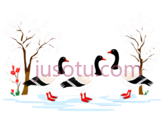 天鹅,卡通,白色PNG