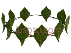 常春藤叶PNG