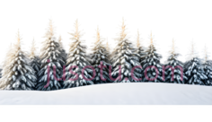 雪松,插画,白色,粉色PNG